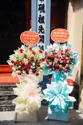 TL_00239.jpg